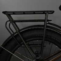 Serfas® eDART 750W E-Bike