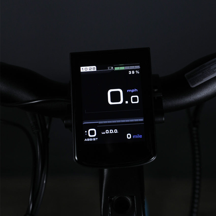 DASH 500W Color Display