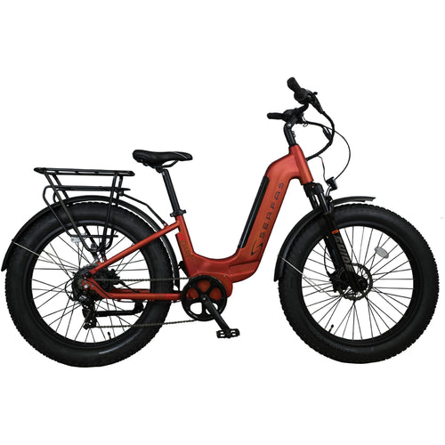 DART 750W