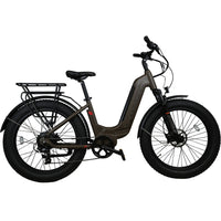 Serfas® eDART 750W E-Bike