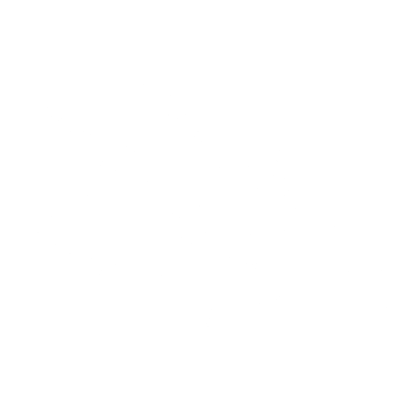 (ST-TR22) 22 Function Tubeless Repair Tool (COMING SOON)