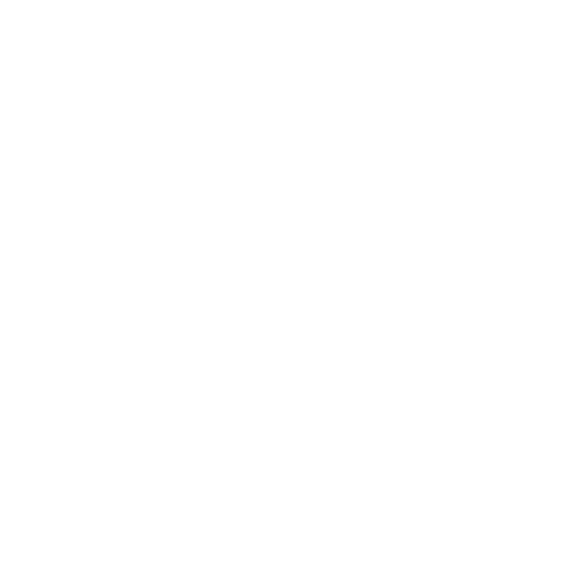 (ST-TR22) 22 Function Tubeless Repair Tool (COMING SOON)